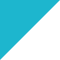 6555c88718083c84db38d927_Pricing Btn Shape 01