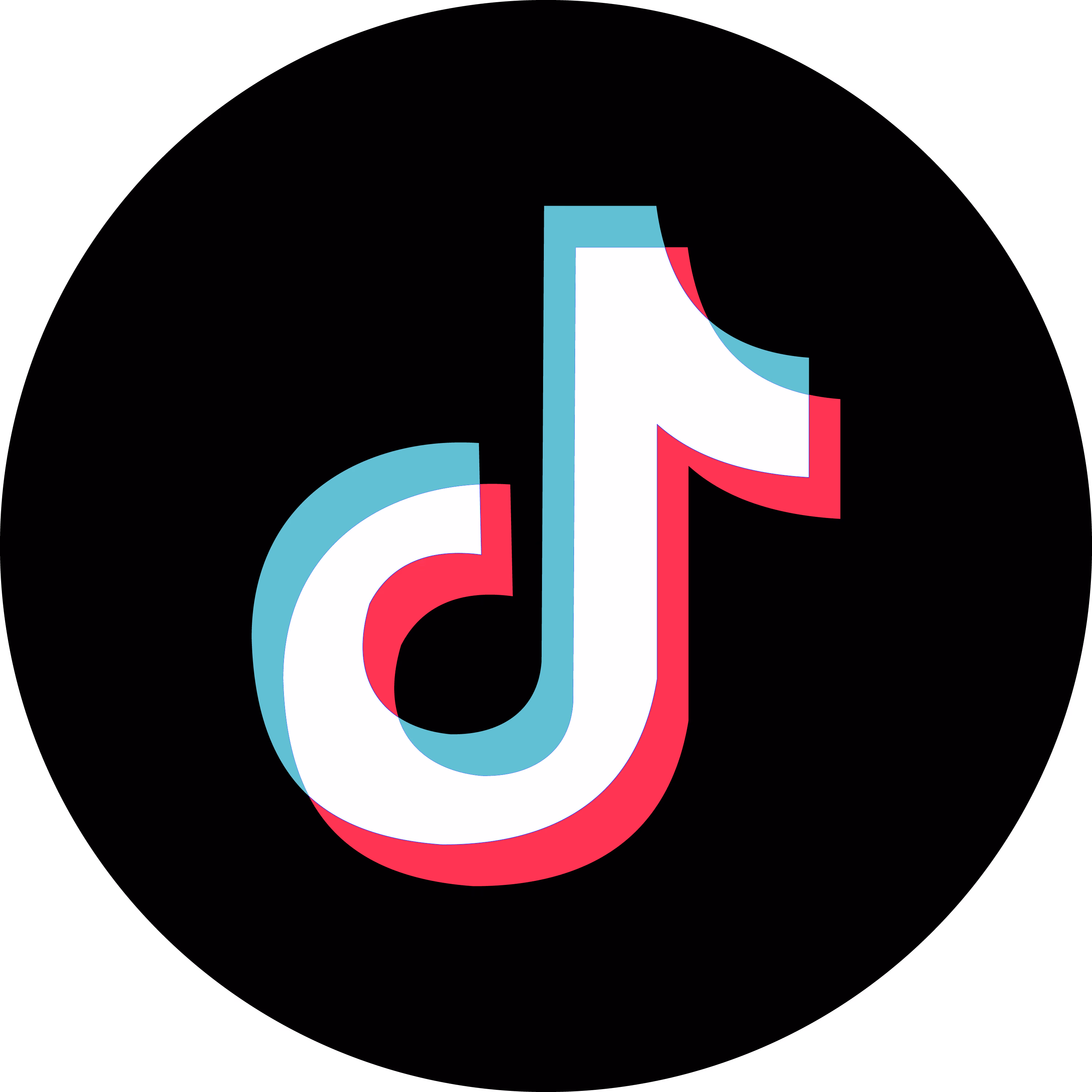 Tiktok_Logo_Primary